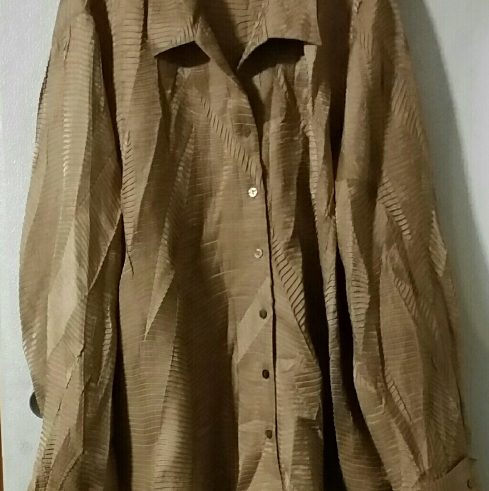 Long sleeve button down blouse